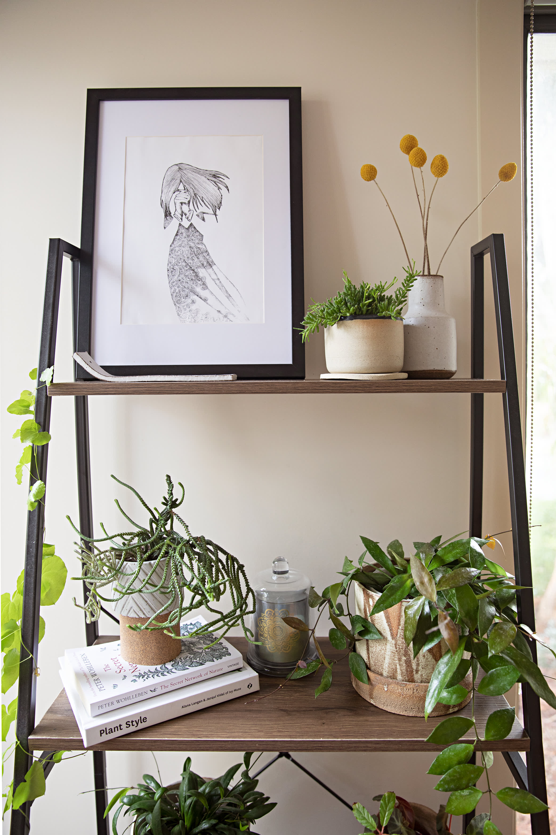 Indoor Greenhouse Plant Filled Australia Rental Home Apartment Therapy